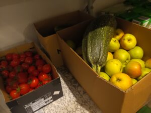 IMG_20260823_071806_882