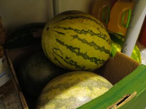 IMG_20260823_071816_513
